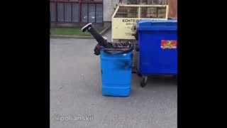 بهترین کلیپ های 2019