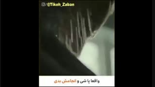 فقط انجامش بده