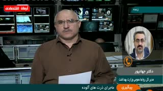 چقدر ماجرای ورود ذرتهای آلوده صحت دارد؟