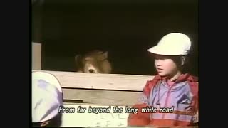 Lessons from a Calf 1991