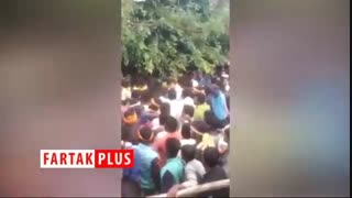 حمله وحشیانه گاو به سیاستمدار هندی