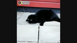 عرررررررررررررررر
