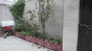 خرید آپارتمان در بندر انزلی