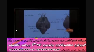 آموزش زیست یازدهم آرام فر