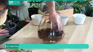 آموزش ساخت تراریوم ساکولنت (گیاهان تاریخی)