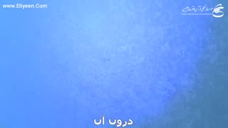 اعتقاد به آخرت - 1 - اثبات حاکمیت