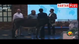 دوشیدن شیر الاغ در بزنامه شبکه سه