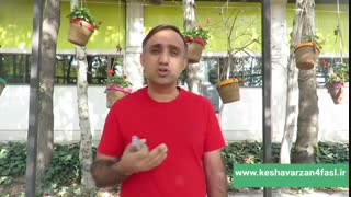 میخای بدونی سریعترین راه برای بازاریابی صادرات محصولات کشاورزی چیه؟