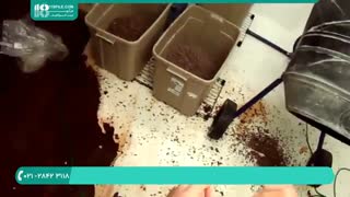 آموزش تولید قارچ از 0 تا 100