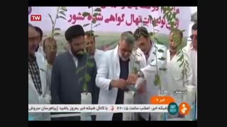 نهال لیبل آبی