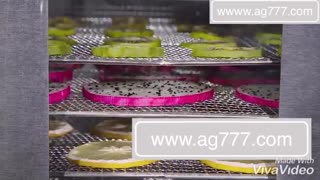 دستگاه خشک کن میوه و سبزیجات