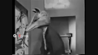 قسمتی از شهر قصه