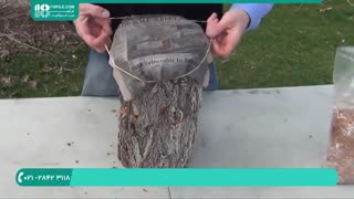 آموزش کاشت قارچ خوراکی