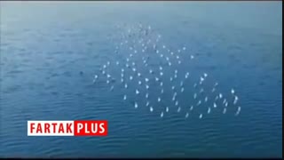 کویری بزرگ در ایران که تبدیل به دریایی زیبا شد