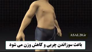 عسل و لیمو برای پوست ، کبد ، لاغری . عسل کوهستان دکتر عموشاهی