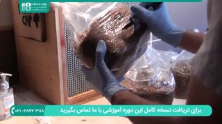 آموزش پرورش قارچ در خاک اره