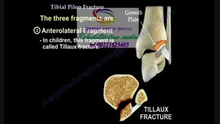 گفتاردرمانی تخصصی09121623463 | تهران باغ فیض فرعی سفید