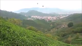محسن چاوشی_همخواب