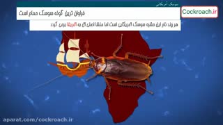 سوسک ها را شناسایی و نابود کنید