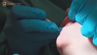 رشته دندان پزشکی در انگلیس، موسسه مهاجرت تحصیلی | go2tr