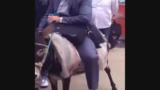 استاد خر سوار بعد گرانی بنزین