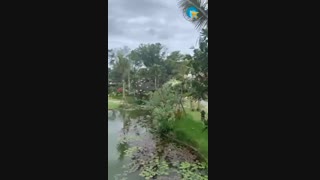 سفر به بهشت خدایان،بالی