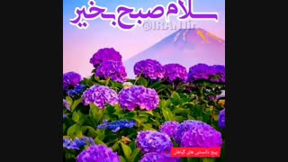 گیاهان زیبا