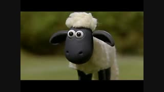 بره ناقلا (2)