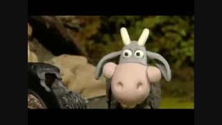 بره ناقلا (3)