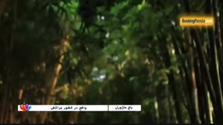 باغ ماژورل با مناظری زیبا و متنوع در کشور مراکش - بوکینگ پرشیا
