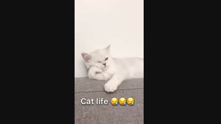 من طی چند روز گذشته XD