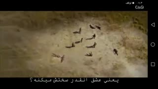 ویدیو جالب از فیلم هتل دلونا