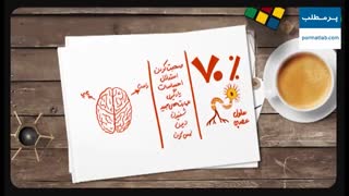 مغز من از چه بخش هایی تشکیل شده است؟