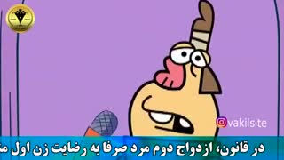 چند همسر داشته باشیم چکارکنیم؟