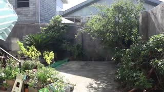 خرید آپارتمان دو واحدی در بندرانزلی