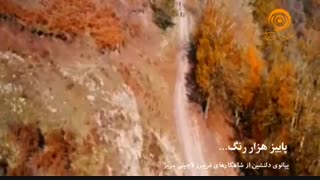 پاییز هزار رنگ
