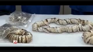 دستگیری سارقان مسلح ۶ کیلو طلا