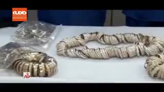 دستگیری سارقان مسلح ۶ کیلو طلا