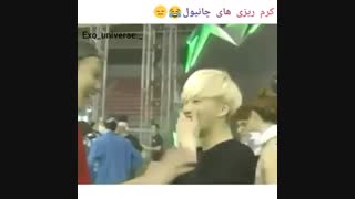 کرم ریزی های چانی