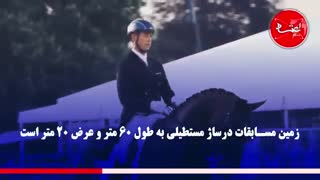 درساژ، خَرامِش با اسبها