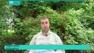 آموزش زنبورداری آموزش پرورش ملکه