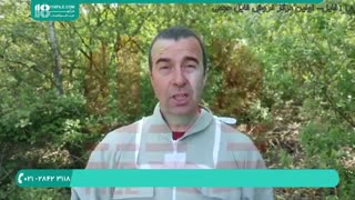 آموزش زنبورداری پرورش زنبور عسل