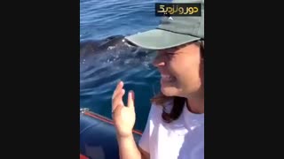 احساسات جالب این دختر در روبرو شدن با نهنگ.