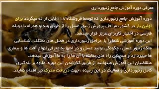 چگونه کندوهای مشکوک به بیماری را تشخیص دهیم؟