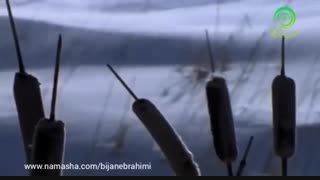 برف سفید - موزیک آرامبخش