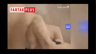 رفاقت مرد سوری با شیرها و ببرها در پناهگاه حیوانات