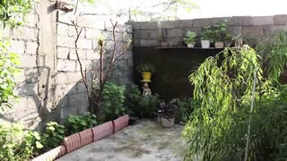 خرید خانه ویلایی در بندرانزلی