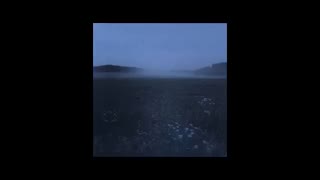 LAIRE - Nobodies