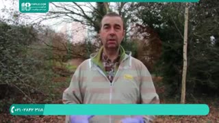 آموزش زنبورداری حرفه ای | جایگزین کردن گرده