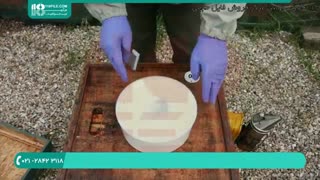 کاملترین آموزش زنبورداری _ بررسی اولین کندو